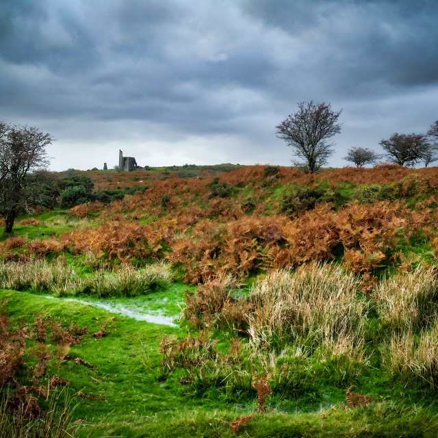 "Poldark mine, Cornwall." stock image