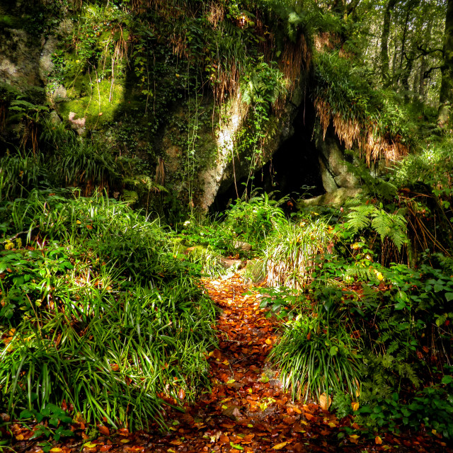 "Woodland cave" stock image