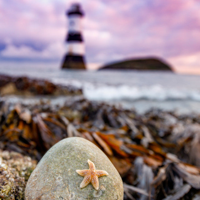 "The smallest star" stock image