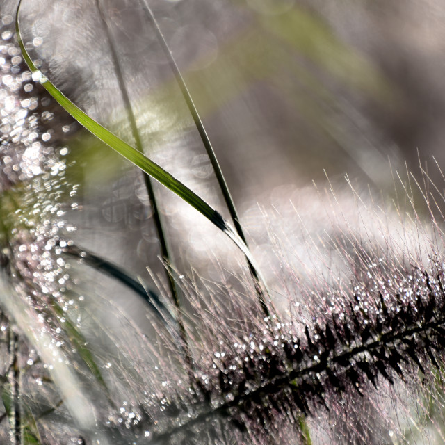 "Momentum in the Wind" stock image