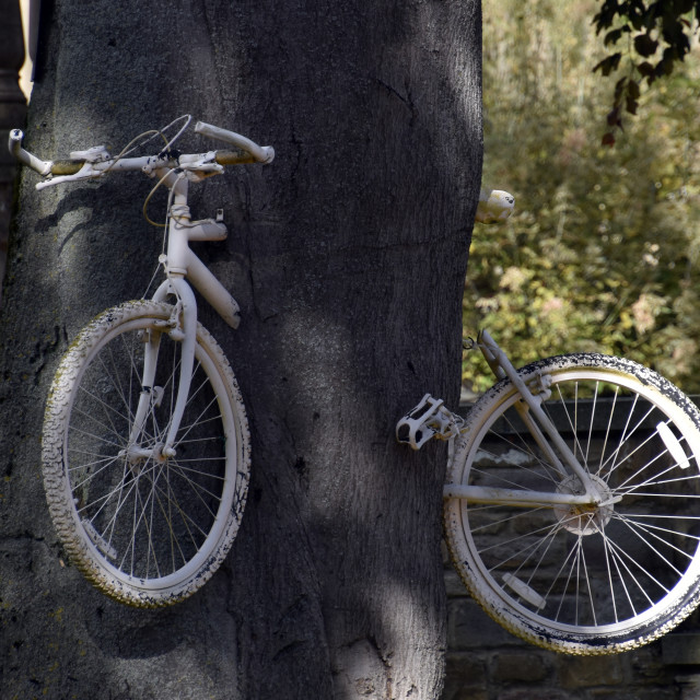 "Secure bike" by Len Howell - $12.20 "Secure bike" stock image