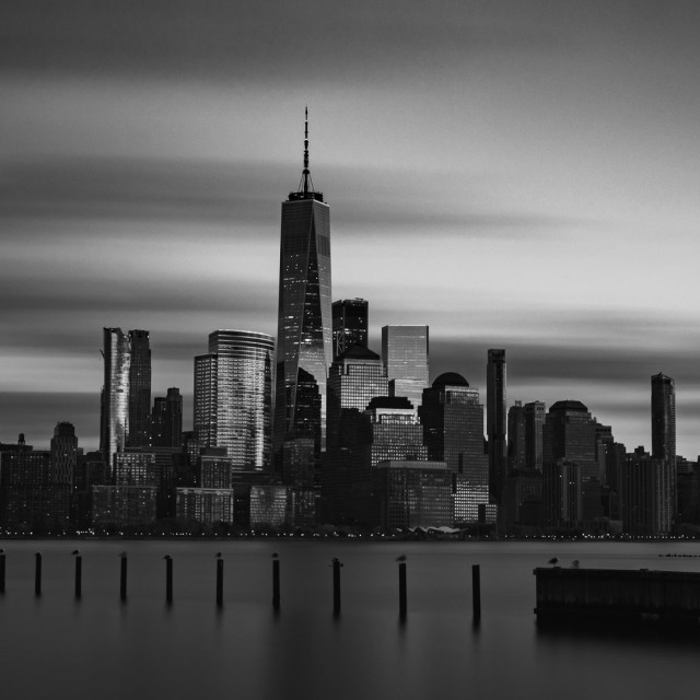 "NYC Skylie" stock image