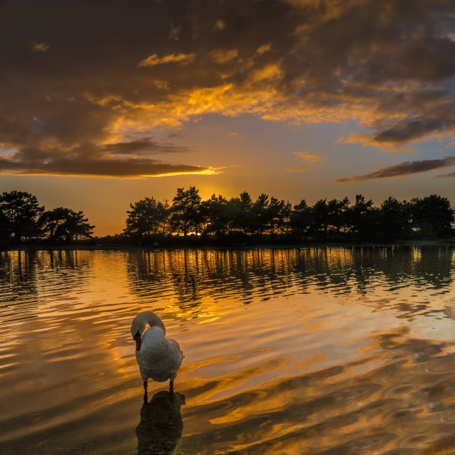"Sunset over Hatchet Pond, New Forest National Park" stock image