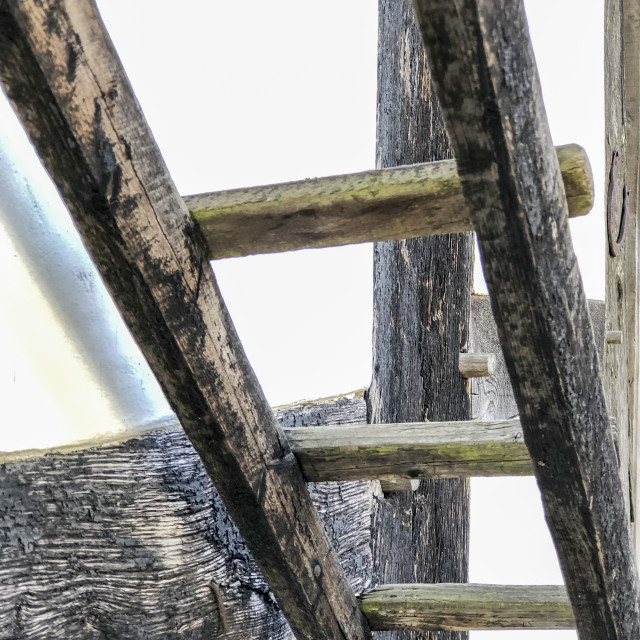 "wooden chicken ladder" stock image