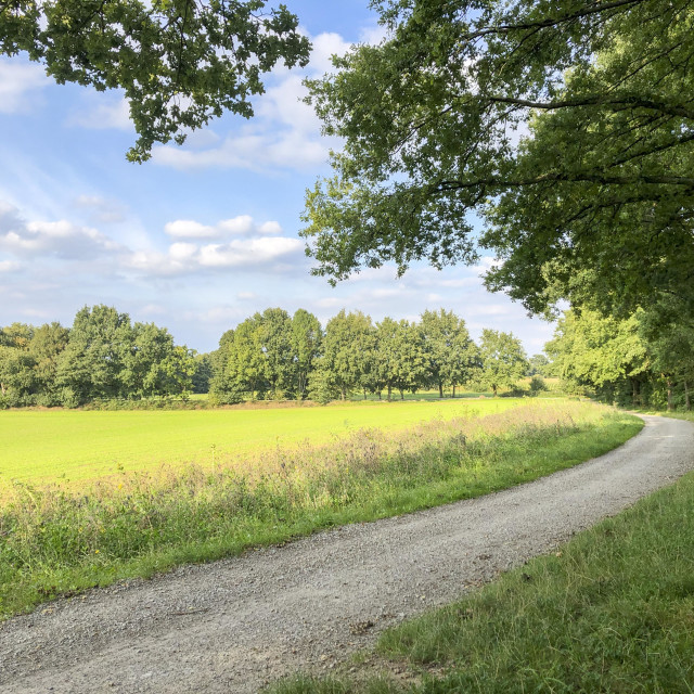 "Wanderweg in Bielefeld" stock image