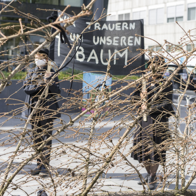 "Symbolic Mourning March for a dead Tree" stock image