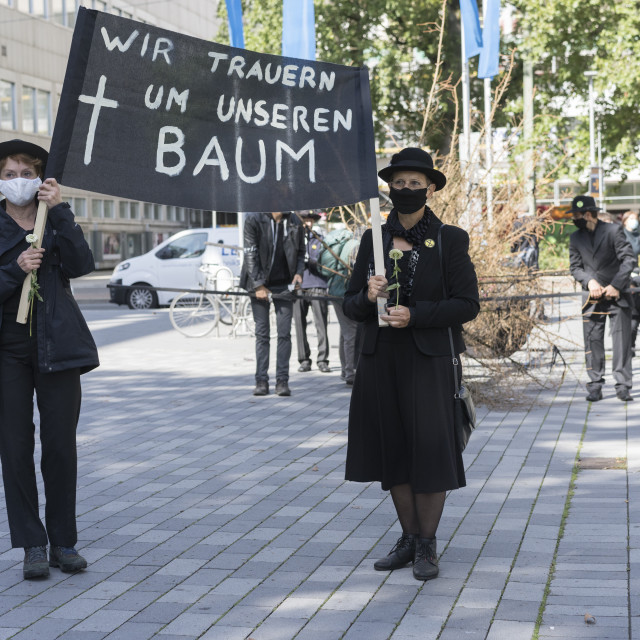 "Symbolic Mourning March for a dead Tree" stock image