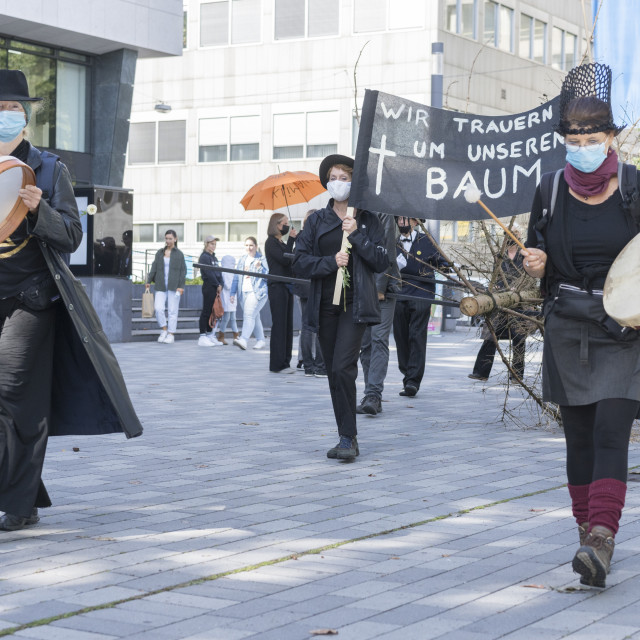 "Symbolic Mourning March for a dead Tree" stock image