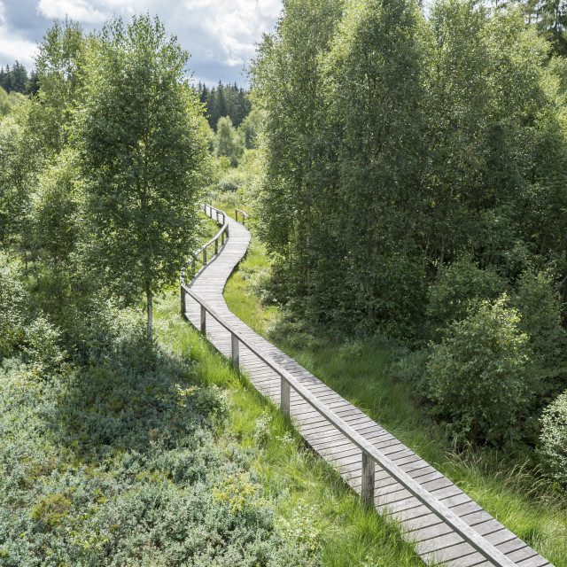 "Moor restored to natural state" stock image