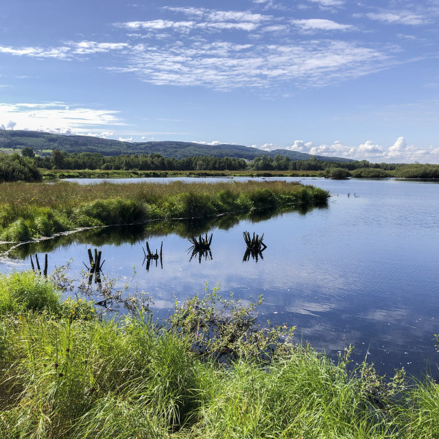 "Great Peat Moor" stock image