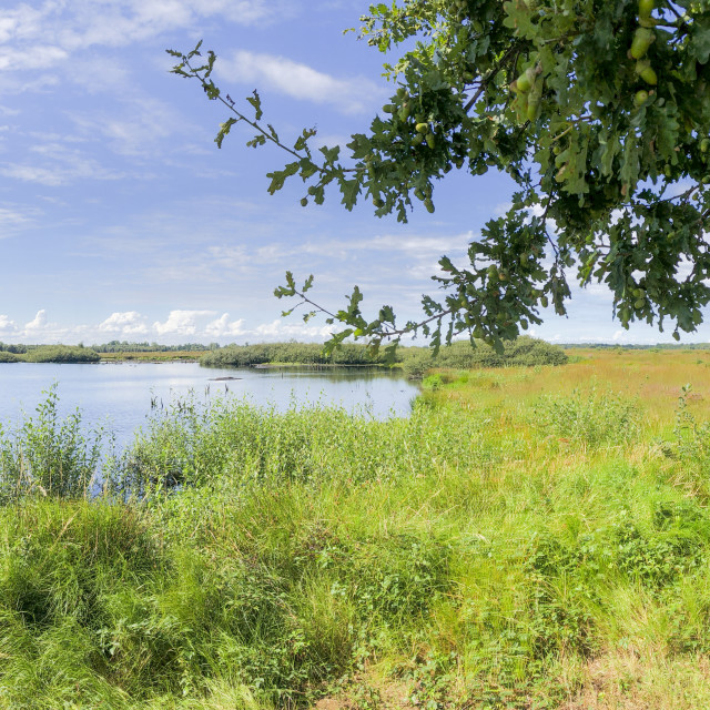 "Panorama: Great Peat Moor" stock image