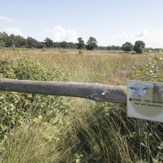 "Great Peat Moor" stock image