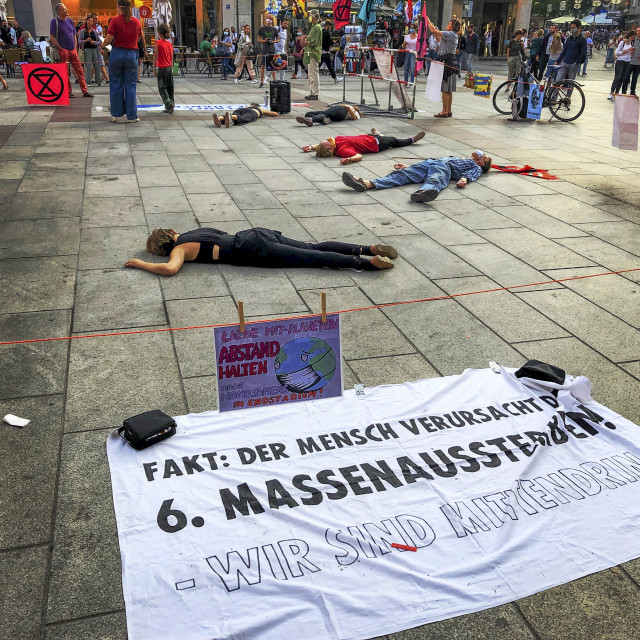 "Extinction Rebellion Die In" stock image