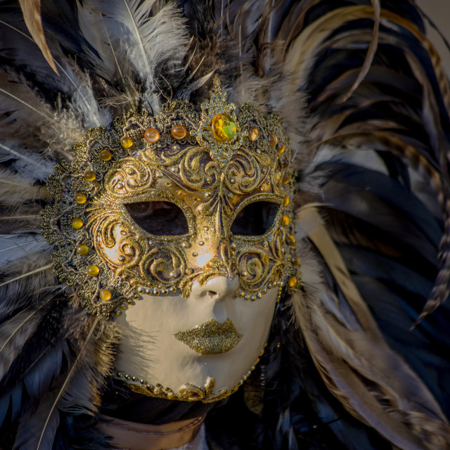 "Venetian Mask, Venice Carnival" by Bobb Strongman - £20.00 "Venetian Mask, Venice Carnival" stock image