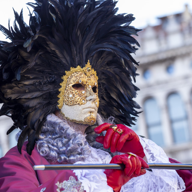 "Venetian Mask, Venice Carnival" by Bobb Strongman - £20.00 "Venetian Mask, Venice Carnival" stock image
