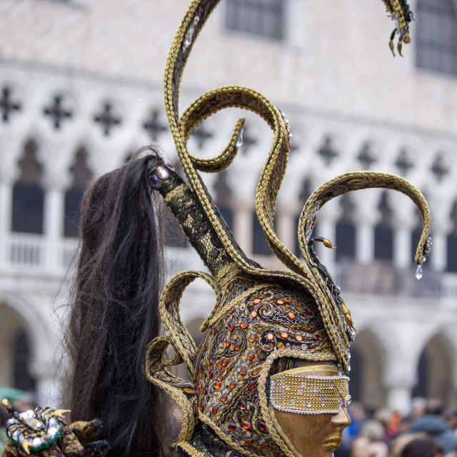 "Medusa Headdress at Venice Carnival" by Bobb Strongman - £20.00 "Medusa Headdress at Venice Carnival" stock image