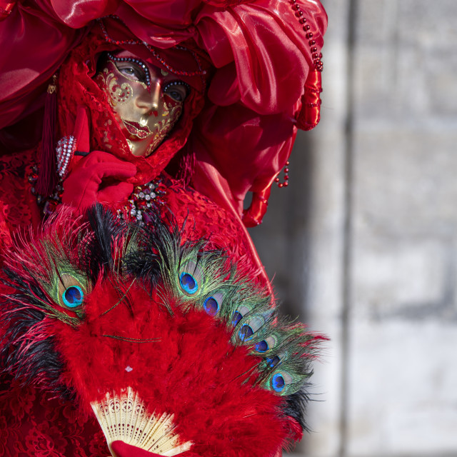 "Red and Gold Costume at Venice Carnival" by Bobb Strongman - £20.00 "Red and Gold Costume at Venice Carnival" stock image
