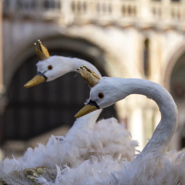 "Swan Headdress at Venice Carnival" by Bobb Strongman - £20.00 "Swan Headdress at Venice Carnival" stock image