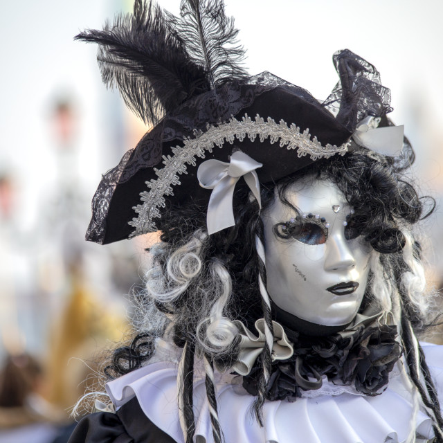 "Black and White Costume at Venice Carnival" stock image