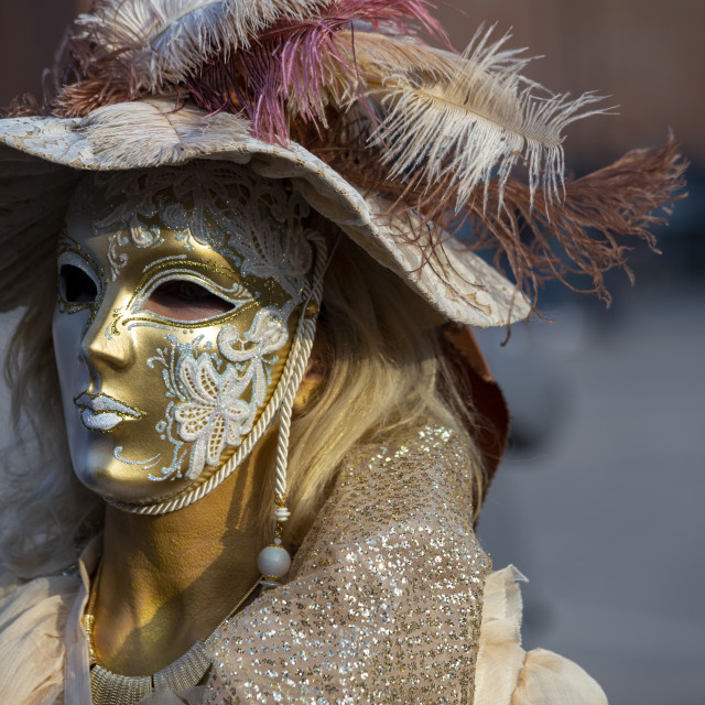 "Gold Mask at Venice Carnival" by Bobb Strongman - £20.00 "Gold Mask at Venice Carnival" stock image