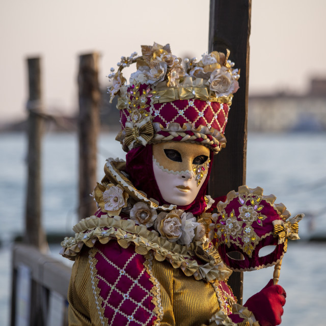 "Red and Gold Costume at Venice Carnival" by Bobb Strongman - £20.00 "Red and Gold Costume at Venice Carnival" stock image