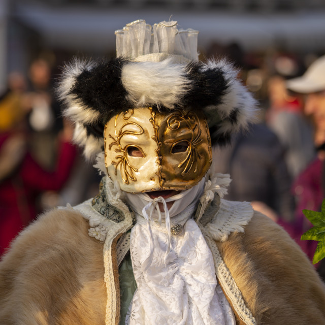 "Gold Mask at Venice Carnival" by Bobb Strongman - £20.00 "Gold Mask at Venice Carnival" stock image