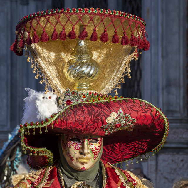 "Mexican Themed Costume at Venice Carnival" by Bobb Strongman - £20.00 "Mexican Themed Costume at Venice Carnival" stock image