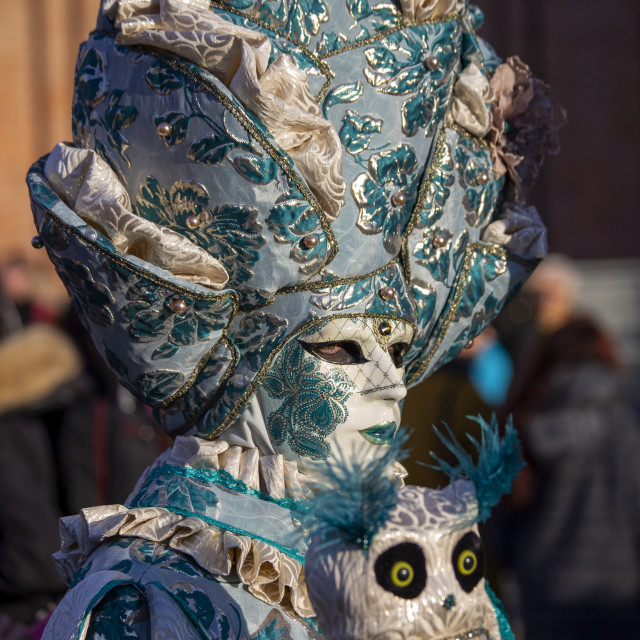 "Costume with Owl at Venice Carnival" by Bobb Strongman - £20.00 "Costume with Owl at Venice Carnival" stock image