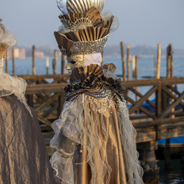 "Undersea Themed Costume at Venice Carnival" by Bobb Strongman - £20.00 "Undersea Themed Costume at Venice Carnival" stock image