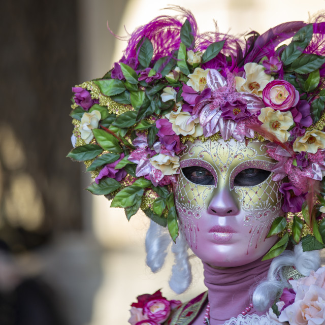 "Floral Costume at Venice Carnival" by Bobb Strongman - £20.00 "Floral Costume at Venice Carnival" stock image