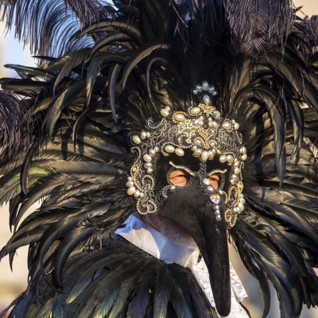 "Plague Doctor Mask at Venice Carnival" by Bobb Strongman - £20.00 "Plague Doctor Mask at Venice Carnival" stock image