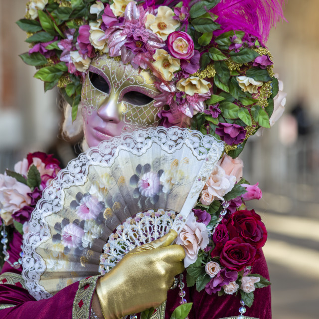 "Floral Costume at Venice Carnival" by Bobb Strongman - £20.00 "Floral Costume at Venice Carnival" stock image