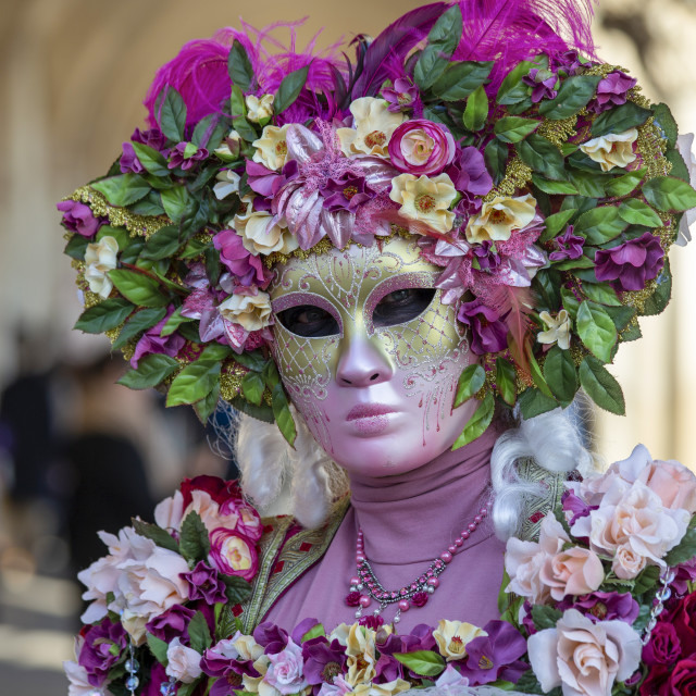 "Floral Costume at Venice Carnival" by Bobb Strongman - £20.00 "Floral Costume at Venice Carnival" stock image