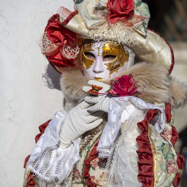 "Floral Costume at Venice Carnival" by Bobb Strongman - £20.00 "Floral Costume at Venice Carnival" stock image