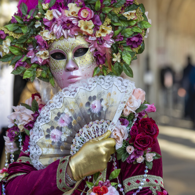 "Floral Costume at Venice Carnival" by Bobb Strongman - £20.00 "Floral Costume at Venice Carnival" stock image