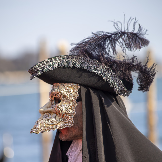 "Ornate Costume and Bauta at Venice Carnival" by Bobb Strongman - £20.00 "Ornate Costume and Bauta at Venice Carnival" stock image