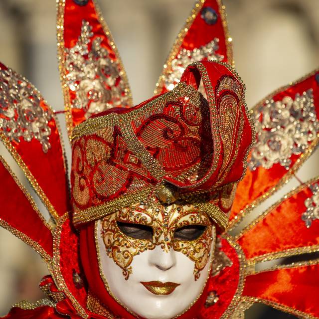 "Red and Gold Costume at Venice Carnival" by Bobb Strongman - £20.00 "Red and Gold Costume at Venice Carnival" stock image