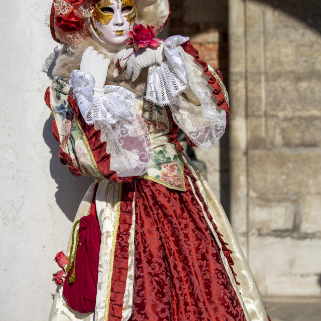"Floral Costume at Venice Carnival" by Bobb Strongman - £20.00 "Floral Costume at Venice Carnival" stock image