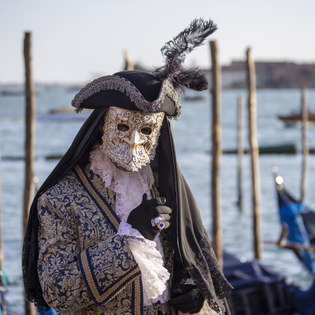 "Ornate Costume and Bauta at Venice Carnival" by Bobb Strongman - £20.00 "Ornate Costume and Bauta at Venice Carnival" stock image