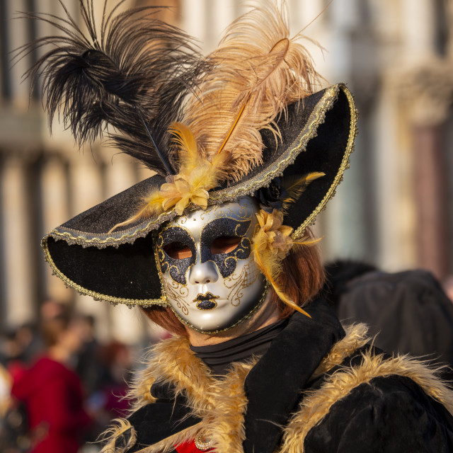 "Black and Gold Costume at Venice Carnival" by Bobb Strongman - £20.00 "Black and Gold Costume at Venice Carnival" stock image