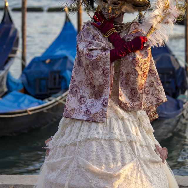 "Conical Hat at Venice Carnival" by Bobb Strongman - £20.00 "Conical Hat at Venice Carnival" stock image
