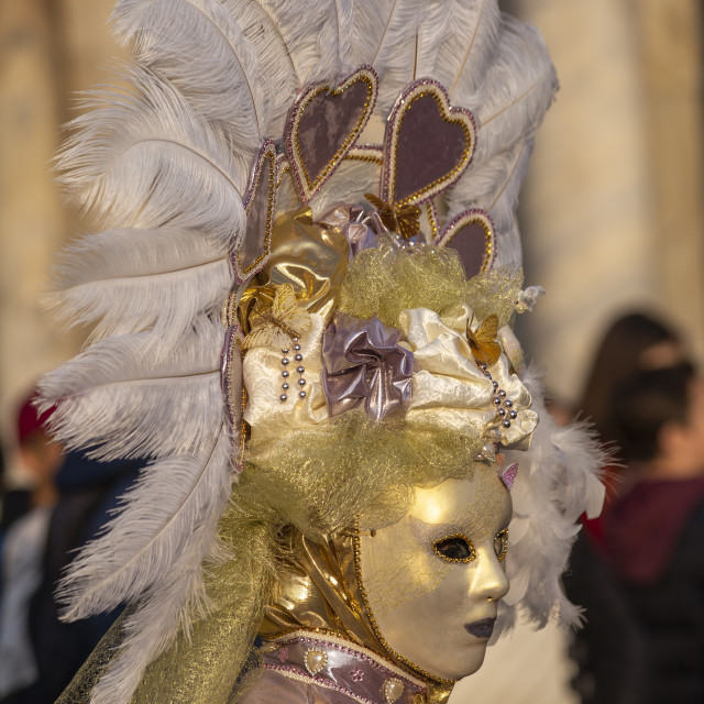"Queen of Hearts Costume at Venice Carnival" by Bobb Strongman - £20.00 "Queen of Hearts Costume at Venice Carnival" stock image