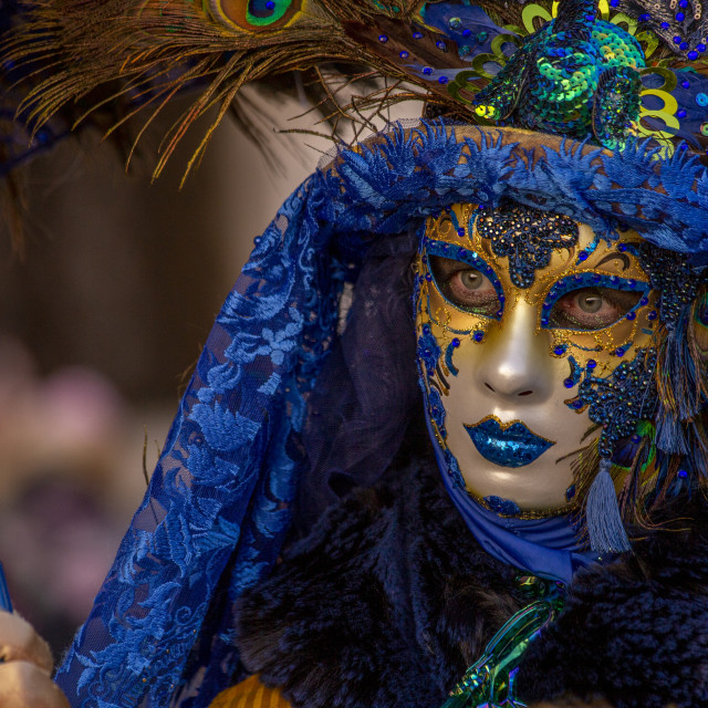 "Blue and Gold Costume at Venice Carnival" by Bobb Strongman - £20.00 "Blue and Gold Costume at Venice Carnival" stock image