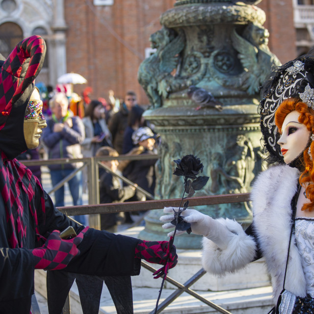 "Black Rose Proposal at Venice Carnival" by Bobb Strongman - £20.00 "Black Rose Proposal at Venice Carnival" stock image
