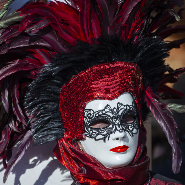 "Red Feathers at Venice Carnival" by Bobb Strongman - £20.00 "Red Feathers at Venice Carnival" stock image