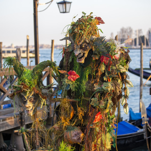 "Venice Carnival Costume" by Bobb Strongman - £20.00 "Venice Carnival Costume" stock image