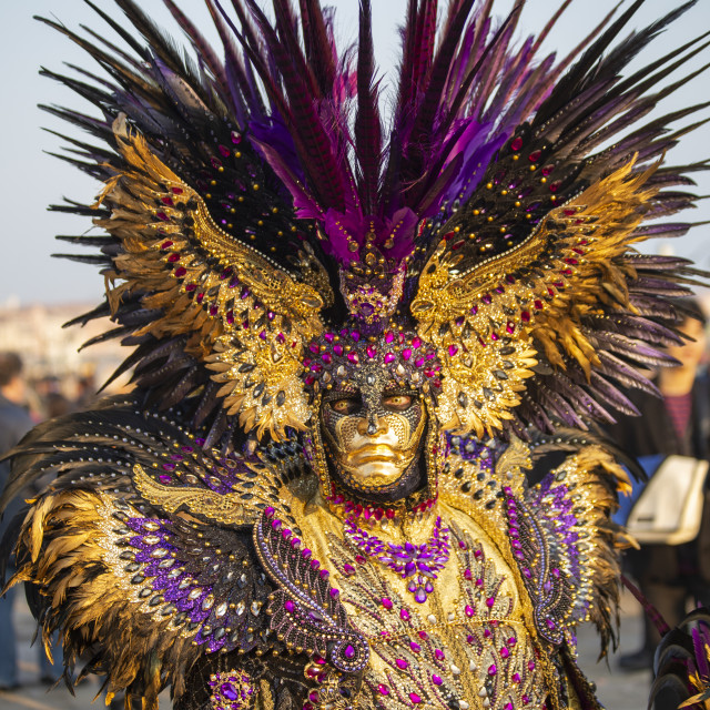 "Sequinned costume at Venice Carnival" by Bobb Strongman - £20.00 "Sequinned costume at Venice Carnival" stock image