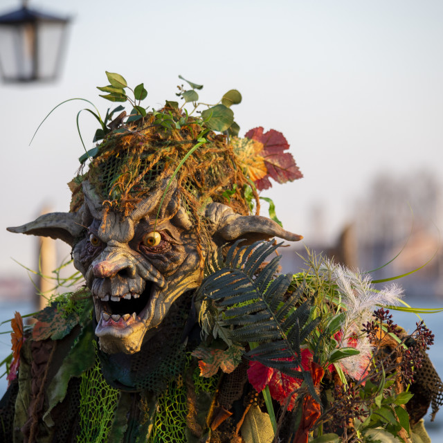 "Venice Carnival Costume" by Bobb Strongman - £20.00 "Venice Carnival Costume" stock image