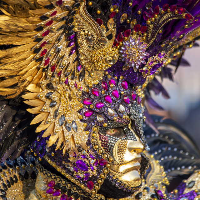 "Sequinned costume at Venice Carnival" by Bobb Strongman - £20.00 "Sequinned costume at Venice Carnival" stock image