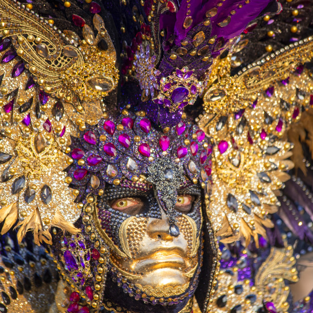 "Sequinned costume at Venice Carnival" by Bobb Strongman - £20.00 "Sequinned costume at Venice Carnival" stock image